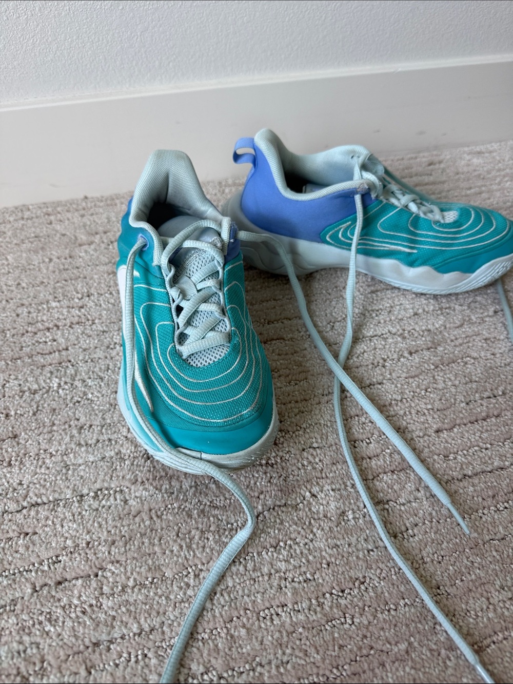 Nike Kids Teal and Light Blue Basketball Shoes-only worn indoors.